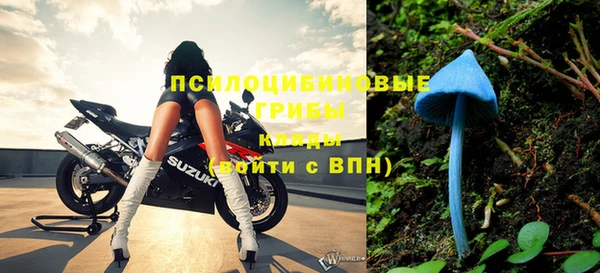 ПСИЛОЦИБИНОВЫЕ ГРИБЫ Абдулино