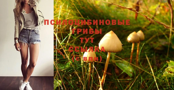 экстази Михайлов